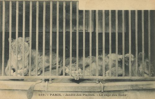 Paris, Jardin des Plantes (L�wenk�rig)