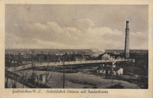 Gro�r�schen (Niederlausitz), Brikettfabrik Viktoria mit Bunkerbr�cke