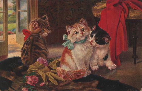 Katzenbabies mit Schleifen