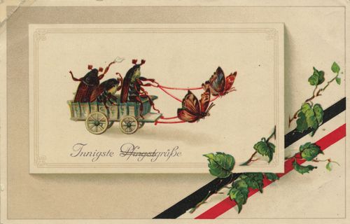 Wagen, von Schmetterlingen gezogen