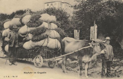 Heufuhr in England