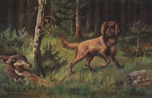 Hund mit 2 Fasanen