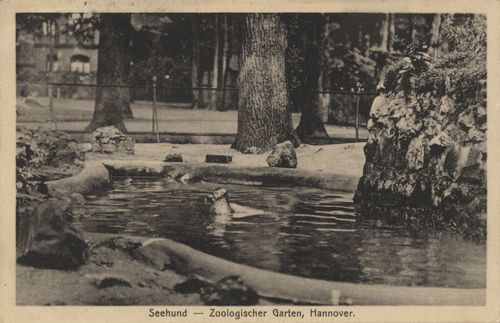 Hannover, Seehund