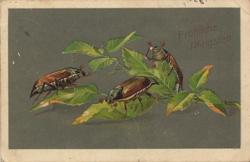 Auf Bl�ttern [3]