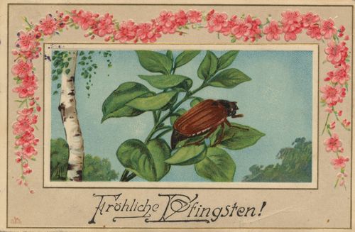 Einzelner K�fer auf dem Blatt