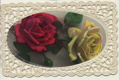 Gelbe und rote Rose