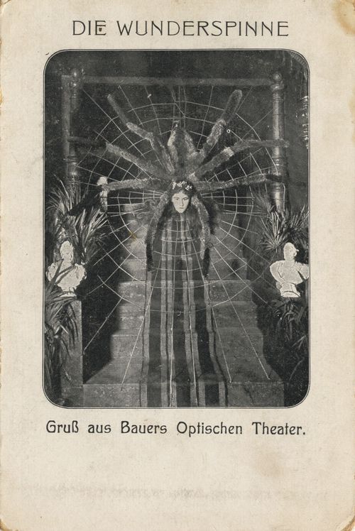 Die Wunderspinne