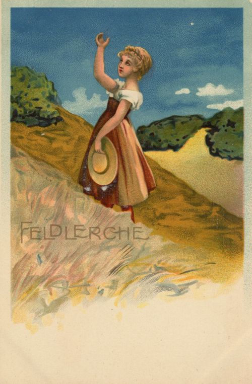 Feldlerche