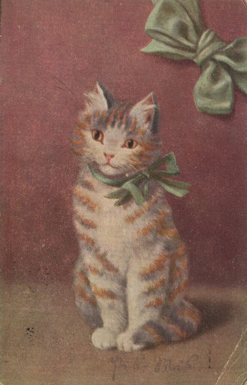 Getigerte Katze mit gr�ner Schleife