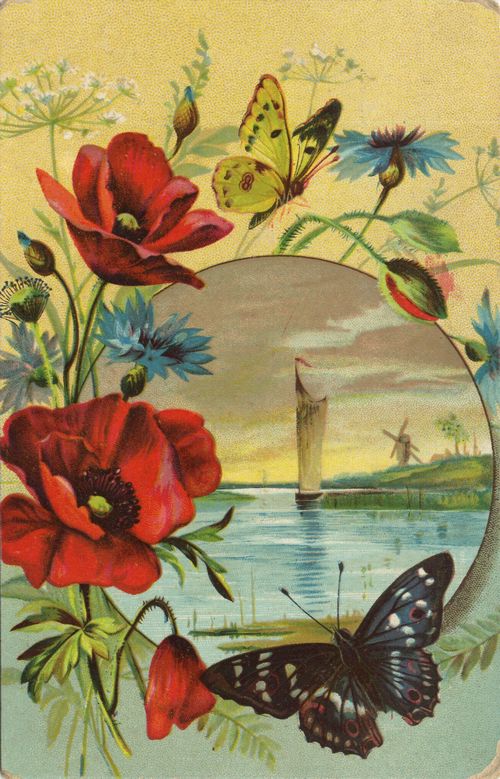 Mohn vor Landschaft