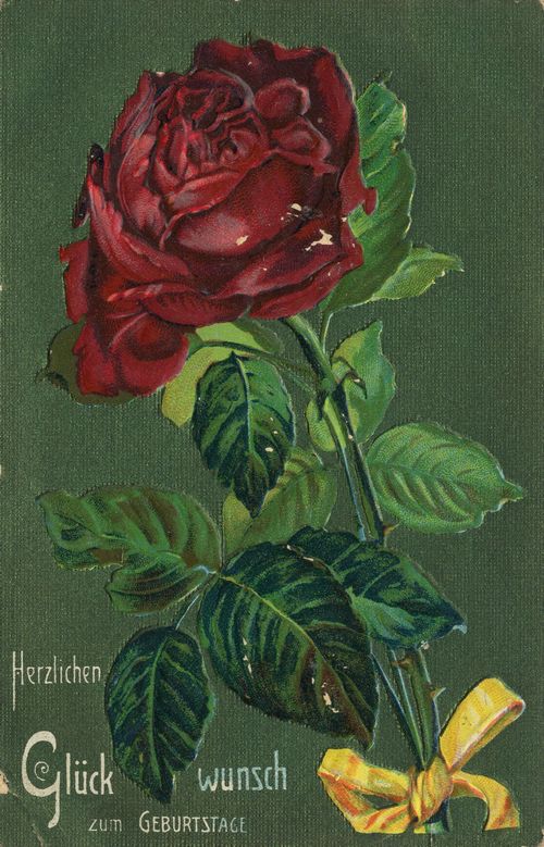 Rosen [4]