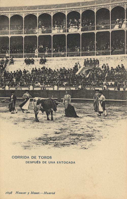 Corrida de Toros: Despu�s de una estoada