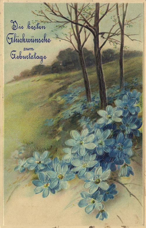 Wiese, B�ume, Blumen