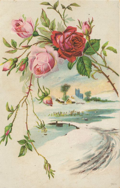 Rosen vor Schneelandschaft