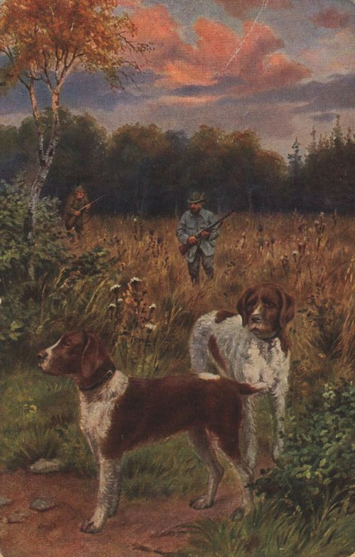 Auf der Pirsch