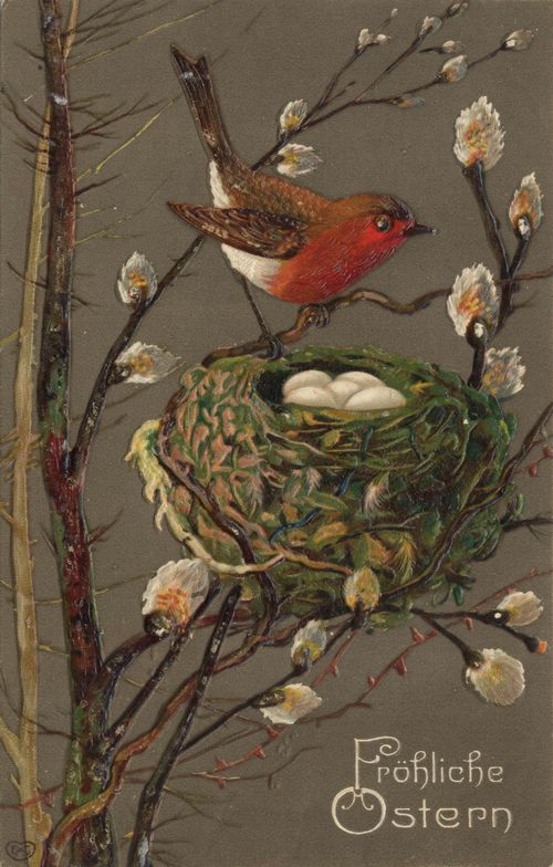 Rotkehlchen mit Nest