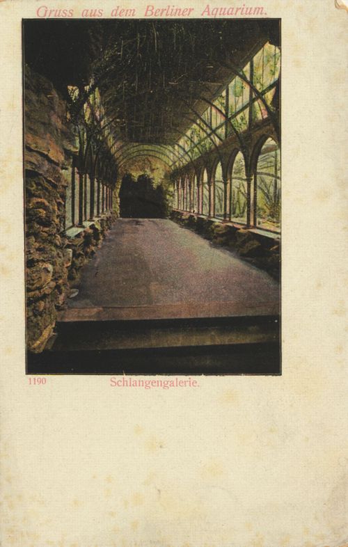 Aquarium, Schlangengalerie
