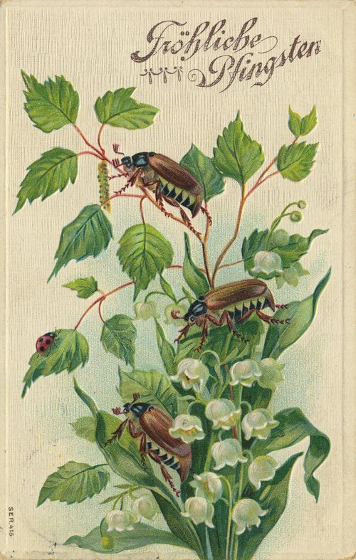Mit Marienk�fer