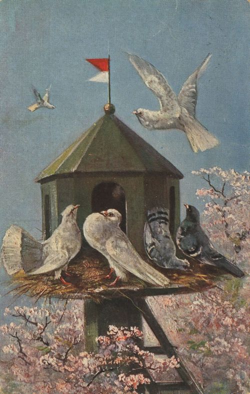 Taubenhaus