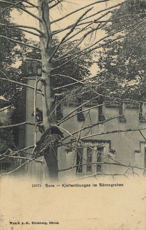 Bern, Kletter�bungen im B�rengraben