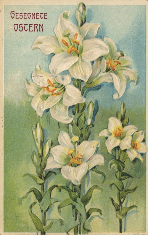 Bl�ten