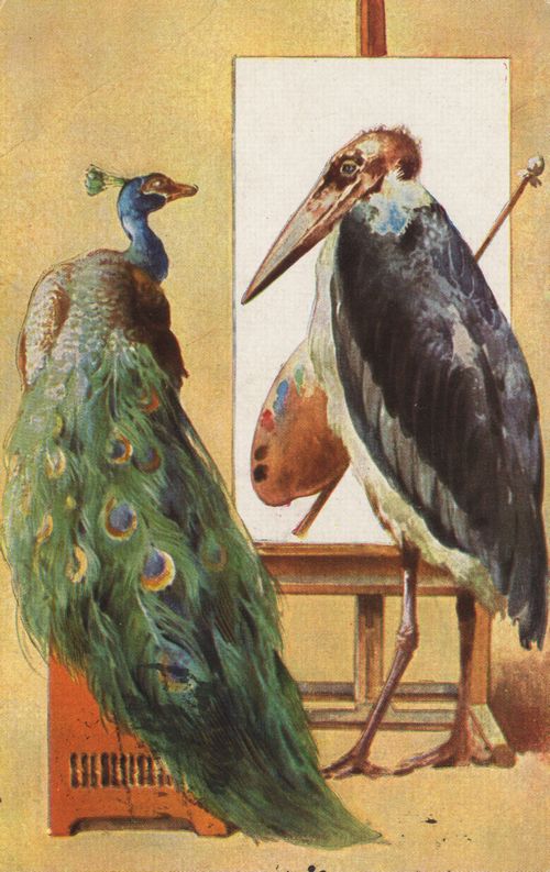Geier malt sch�nen Pfau