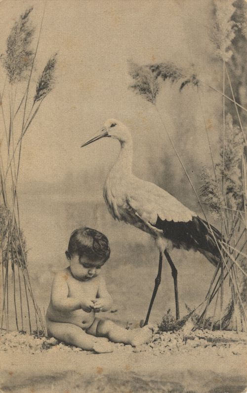 Storch mit S�ugling