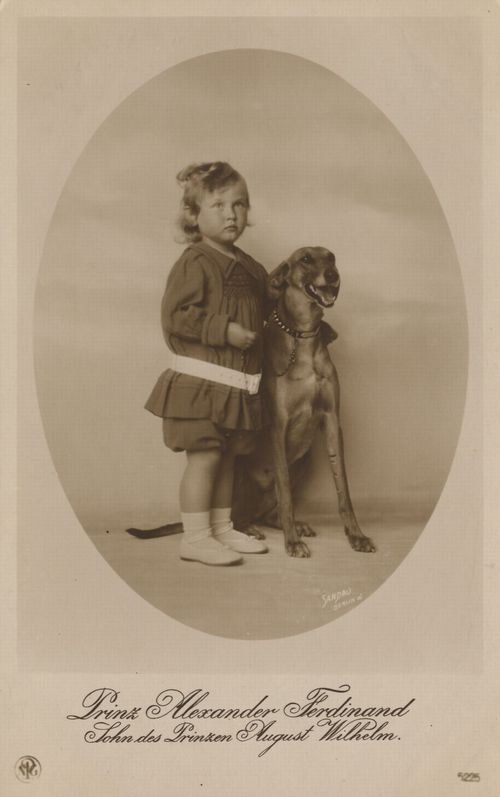 Prinz Alexander Ferdinand