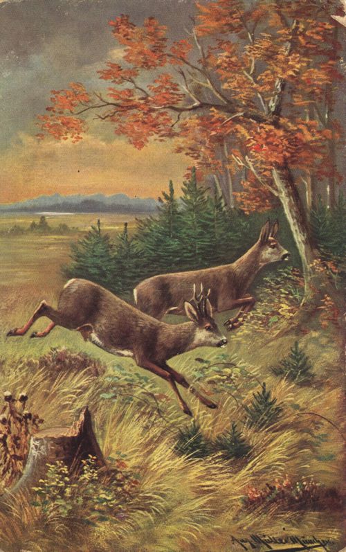 Fliehende Rehe am Waldesrand