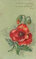 'Das Jahr m�g' Dir die sch�nsten Blumen streuen...'