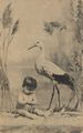 Storch mit S�ugling