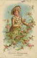 Dame pfl�ckt Blumen