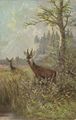 Rehe am Waldesrand