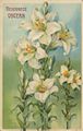 Bl�ten