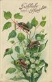 Mit Marienk�fer