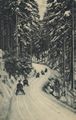 Rodelbahn Reichenstein in Schlesien