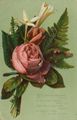 'Mit Deinem bl�henden Gewinde...'