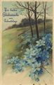 Wiese, B�ume, Blumen
