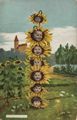 Kinderk�pfe als Sonnenblumen