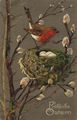 Rotkehlchen mit Nest