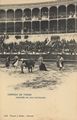 Corrida de Toros: Despu�s de una estoada