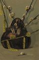 Hund mit Weidek�tzchen