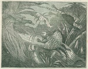 Drache