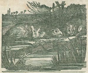 Fischotter