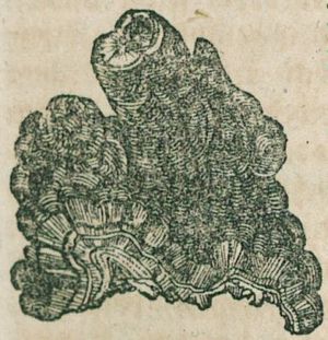 Mineralien