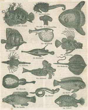 Fische