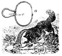 194. Berliner Eisen.