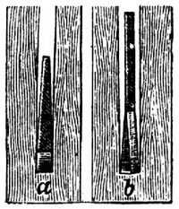1569. S�genquerschnitte.
