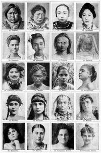 Menschenrassen. II. 21. Eskimo. 22. Samojedin. 23. Chinesin. 24. Japanerin. 25. Siamesin. 26. Birmanin. 27. Lappin. 28. Tatarin. 29. Ainufrau, t�towiert. 30. Wedda. 31. Tamil. 32. Singhalesin. 33. Perserin. 34. Araberin. 35. �gypterin. 36. Maurin. 37. Romanin. 38. Slawin. 39. Germanin, dunkel. 40. Germanin, blond.