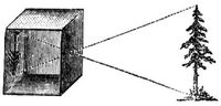 311. Camera obscura.